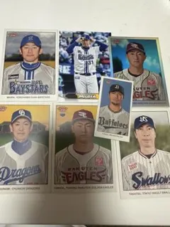 Item thumbnail for item 278a155e-ed7f-4058-801c-2c5fe88b48e2