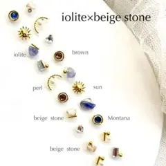 耳ツボジュエリー　大人気　20粒　2点目500円　アイオライト×ベージュ