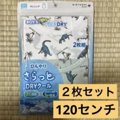 新品 BIRTHDAY PLUS 恐竜柄タンクトップ 2枚組 120cm