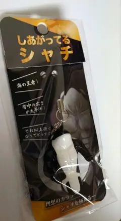 新品】さらにしあがってるシャチ 須磨シーワールド 岩本照 スノーマン