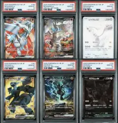 ポケモンカード レシラムex ゼクロムex SAR BWR PSA10 6連番