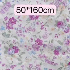 Item thumbnail for item 8dab665a-92f4-4216-ac07-92f0434b815b