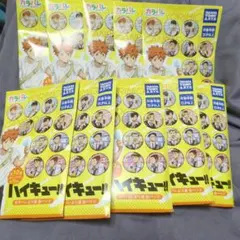 ハイキュー カラパレ 缶バッジ 10個セット