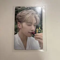 ZB1 メテュ　トレカ