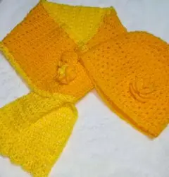 ニット帽とミニマフラーのセット