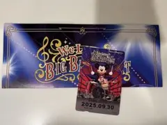BBB ディズニーリゾートライン リゾラ フリーきっぷ