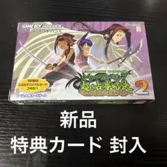 超・占事略決 2 シャーマンキング マンキン
