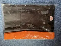 Item thumbnail for item 5a9a6ddd-9808-4292-8a66-f514a153d28c