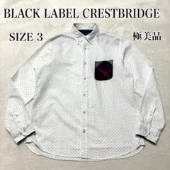 Item thumbnail for item 266a7238-7da4-4b8f-ac62-cd069354fbcb