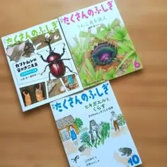 【たくさんのふしぎ】3冊セット