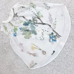 Item thumbnail for item 85fc3fe1-353a-46a8-9d6b-2ba3ef94985c