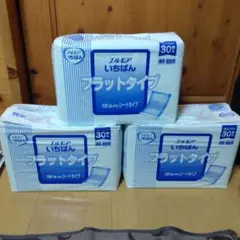 Item thumbnail for item d6566b0b-6f49-4e94-af93-f226827c132f