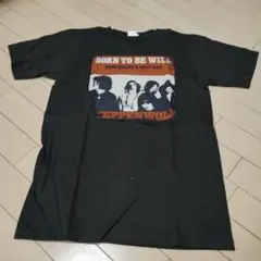 ステッペンウルフ　Tシャツ　Мサイズ　新品未使用品　トムヤンクン038