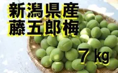 藤五郎梅 ラストセール！新潟県産 8kg 8700円◇梅干し 梅酒用 - メルカリ