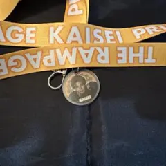 武知海青　ネックストラップ　実写　レア　縁日　ランペ　会場限定　PS