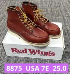 2026年最新】レッドウィング8875の人気アイテム - メルカリ