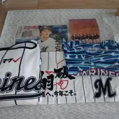 千葉ロッテマリーンズ 応援タオル　ファイル　ユニフォームセット