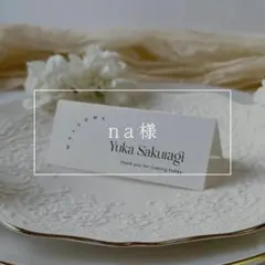 Item thumbnail for item a258b80b-3ad5-45d7-91ff-121565606443