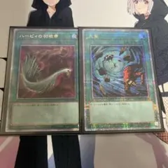 遊戯王 ステルスバード 2枚 PCパラレル 未開封 大会優勝プロモカード 遊戯王 ステルスバード 2枚 PCパラレル 未開封 大会優勝プロモカード