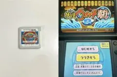 【動作確認済】妖怪ウォッチ2 真打　3DS Nintendo 任天堂　5