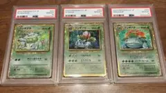 classic フシギダネ進化ライン　PSA10