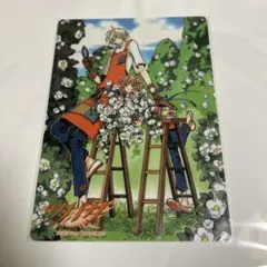 CLAMP X ツバサクロニクル 司狼神威 下敷き セット - メルカリ