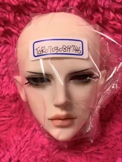 Telesthesiadoll　风(?)　ヘッドのみ　746
