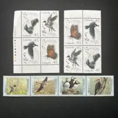 マウンテン様 リクエスト 2点 まとめ商品