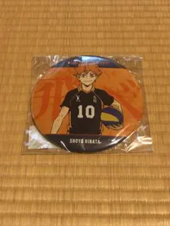 劇場版ハイキュー!! 「ゴミ捨て場の決戦」日向翔陽 BIG缶バッジ