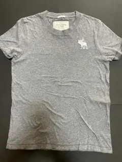 Abercrombie&Fitch　グレー 半袖Tシャツ ロゴ入り S