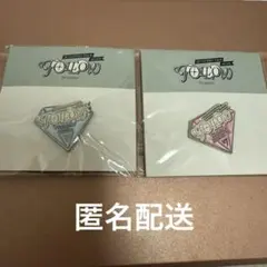 セブチ FOLLOW TO JAPAN AGAIN ピンバッジ 2個セット