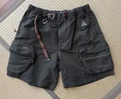 Item thumbnail for item 26db8e96-08f0-4b84-bceb-218633c0ef83