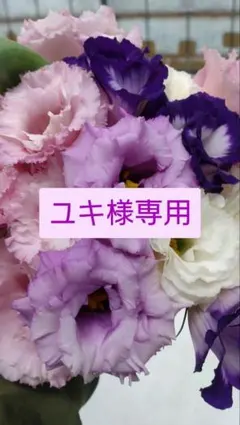 ユキ様専用　トルコギキョウ　リシアンサス　生花