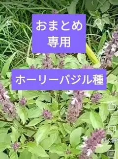 The Retreat Farm様 リクエスト 2点 まとめ商品