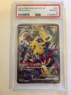 ポッ拳トーナメント ロケテスト限定 バナパスポート サーナイト POKKEN