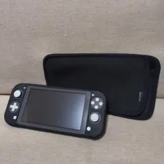 Nintendo Switch Lite グレー ケース付き