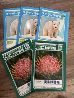 新品❣️漢字ノート　150字　5冊セット