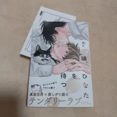 猫、ひなたを待つ