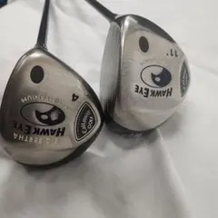 Item thumbnail for item 4cb3083c-b69e-4656-b072-75b330d38895