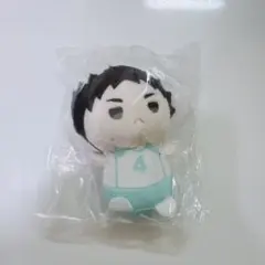 もちもちマスコット ハイキュー たっち 岩泉一
