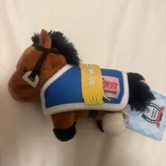 豆乳猫☺様 リクエスト 2点 まとめ商品