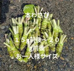 葉わさび　3kg 長野県産 検）ワサビ　沢さわび　花わさび 山菜 葉わさび 3kg 長野県産 検）ワサビ 沢さわび 花わさび 山菜 - メルカリ