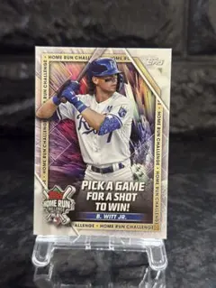 Item thumbnail for item a283180e-b1db-402e-93bc-cc2be6828c9c