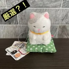 ひげまんじゅう　正座弍　コンプリート　BIGぬいぐるみ　新品未使用 ひげまんじゅう 正座弍 コンプリート BIGぬいぐるみ 新品未使用