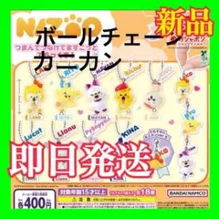 NIZOO つまんでつなげてますこっと でらっくす！ コンプリート ガチャ 