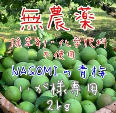 NAGOMIの青梅『いが様専用』2kgのサムネイル