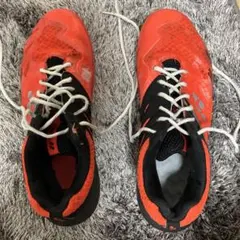 Item thumbnail for item 4332c802-3f80-46de-bd5a-362ab564cc98