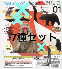 いきもんガチャ　日本のいきものvol.01 まとめ売り7種セット