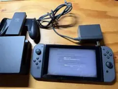 ニンテンドースイッチ本体と付属品、本体動作OK