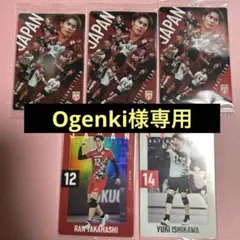 バレーボール トレーディングカードセット